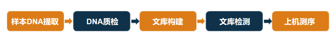 服务流程