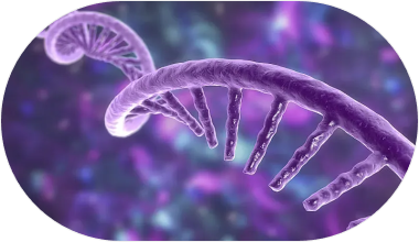 定量PCR