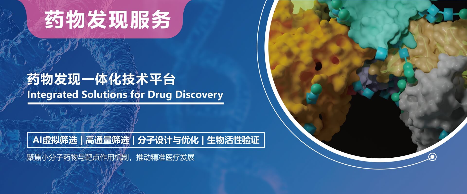 药物发现服务
